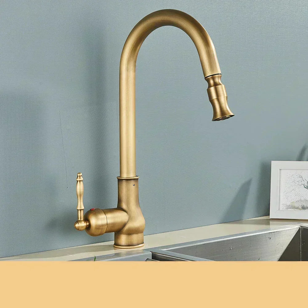 AstraNova Swivel Spout Faucet — Antique Brass Finish, Black Accent