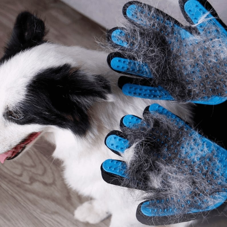 PawsEase blød pelsplejehandske med skånsomme børstehår