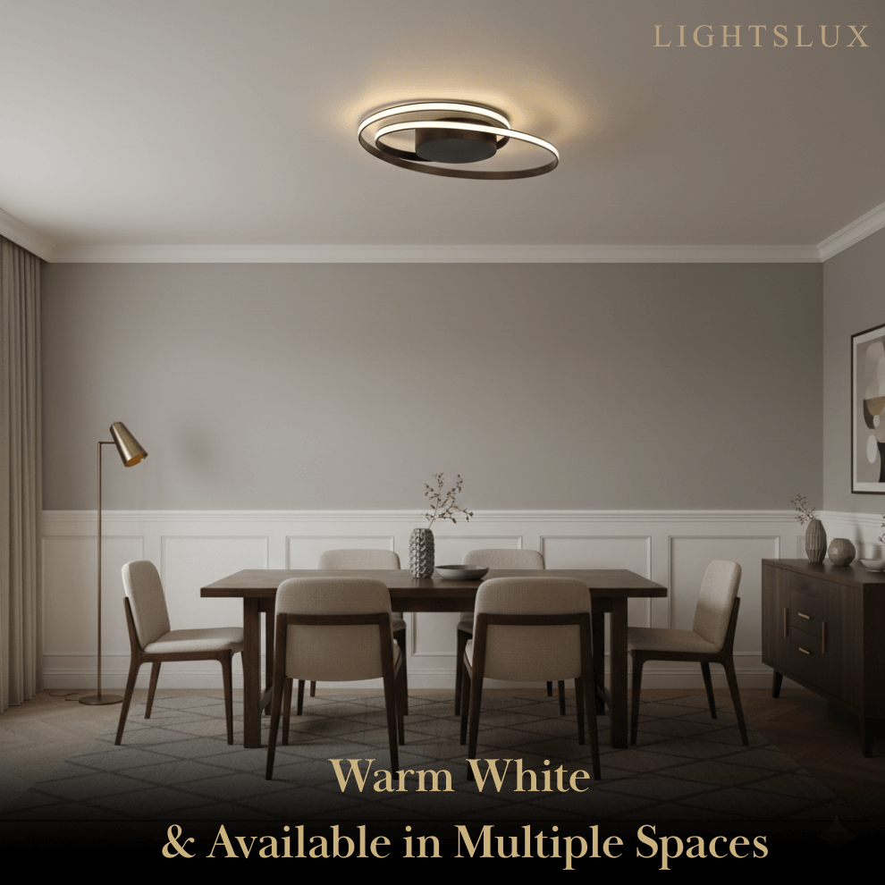 Spiral Ceiling Light – Black Ash Iron & Silica Gel for Bedroom/Living Room - Flindria