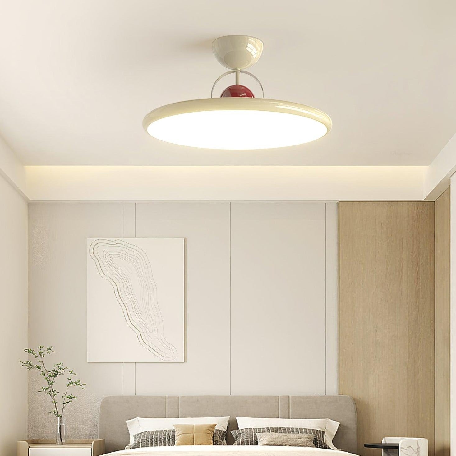 Nolari Ceiling Light Modern LED Fixture With Metal And Acrylic Finish
