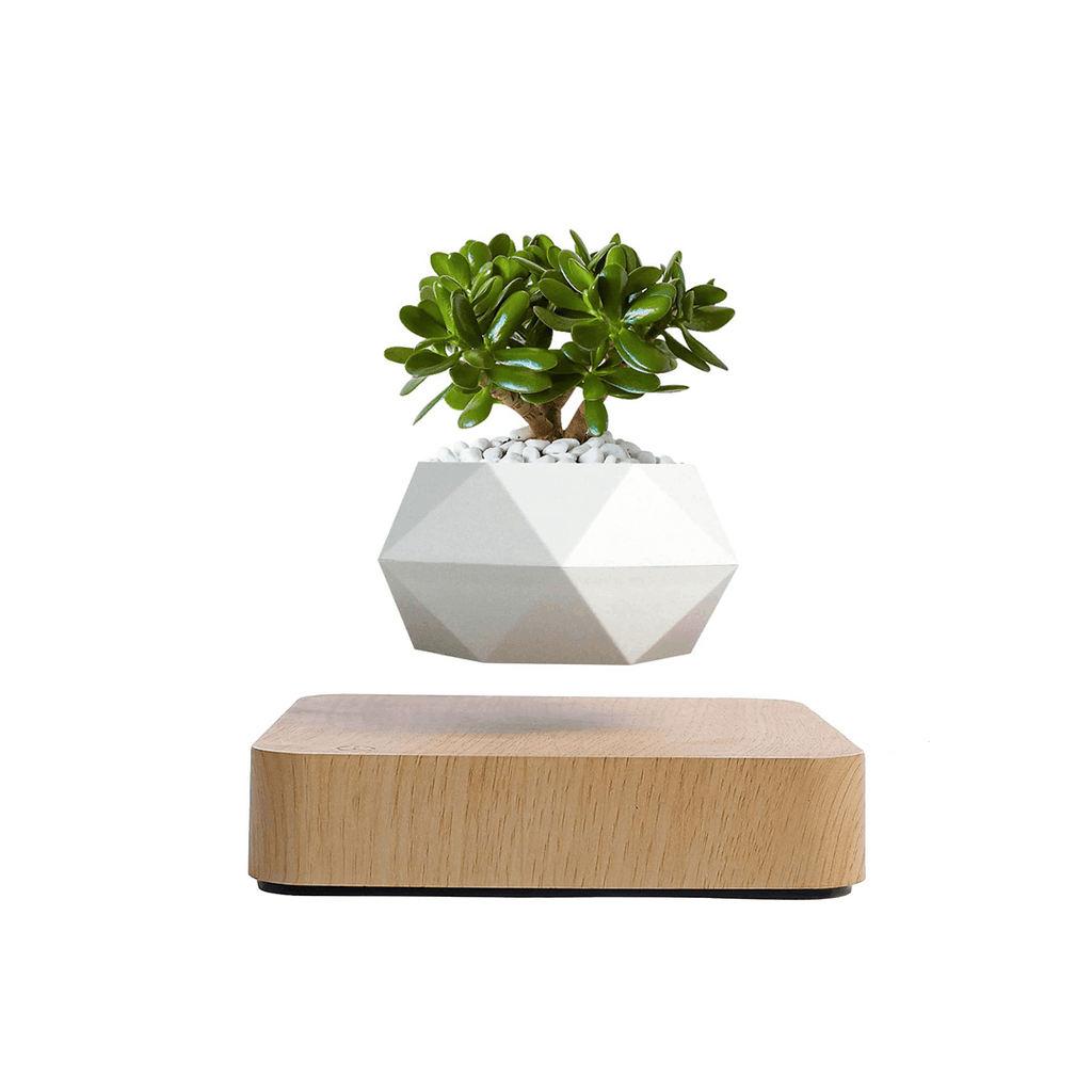 Lewitująca doniczka bonsai — magnetyczna, obracająca się o 360° donica
