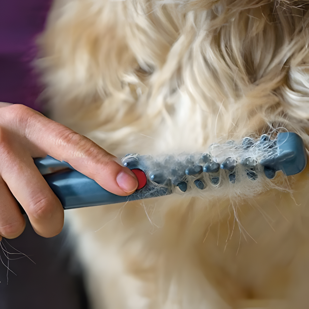 Bella Fellpflege-Trimmer für Haustiere — sanftes Entfernen von Verfilzungen und Knoten