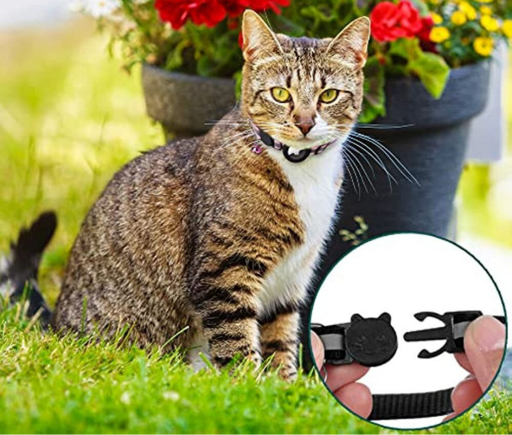 Reflective Quick-Release Cat GPS Collar — Durable Construction, Secure Fastening