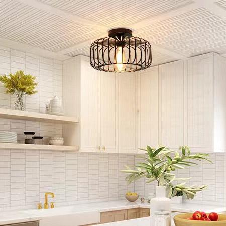 AstraForge Birdcage Matte Black Ceiling Light For Modern Interiors