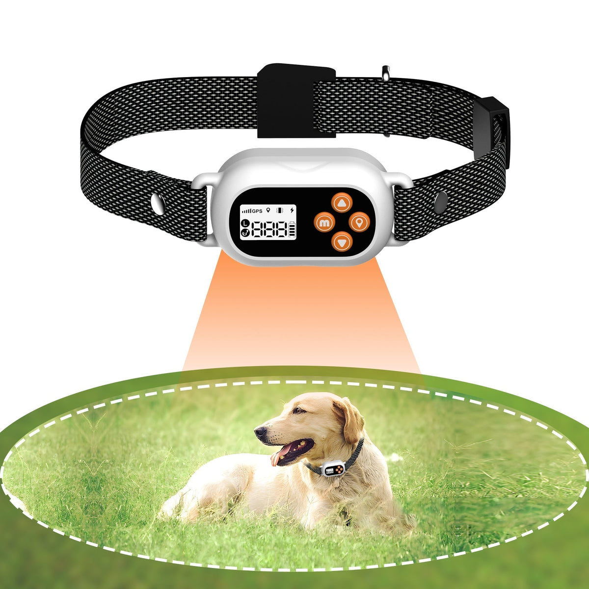 طوق سياج GPS للكلاب Pawfey SmartPro F820 - حدود لاسلكية