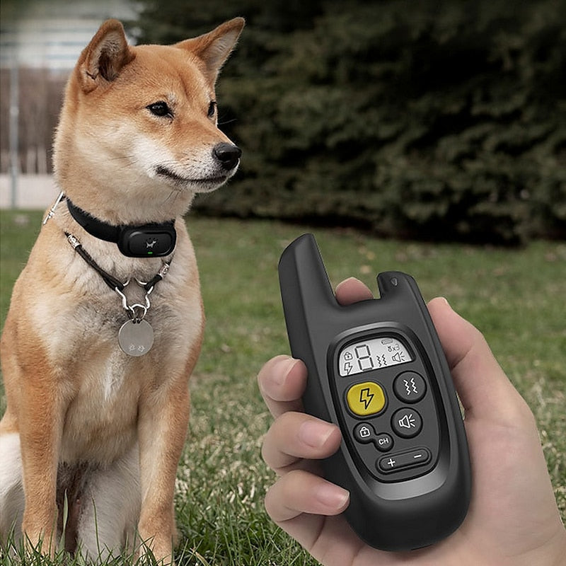 Aufladbares Pawfey-Hundetrainingshalsband – 500 m wasserdicht