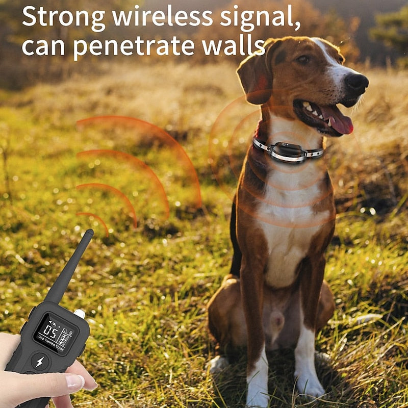 Pawfey trådlöst träningshalsband för hundar - signal som tränger igenom väggar