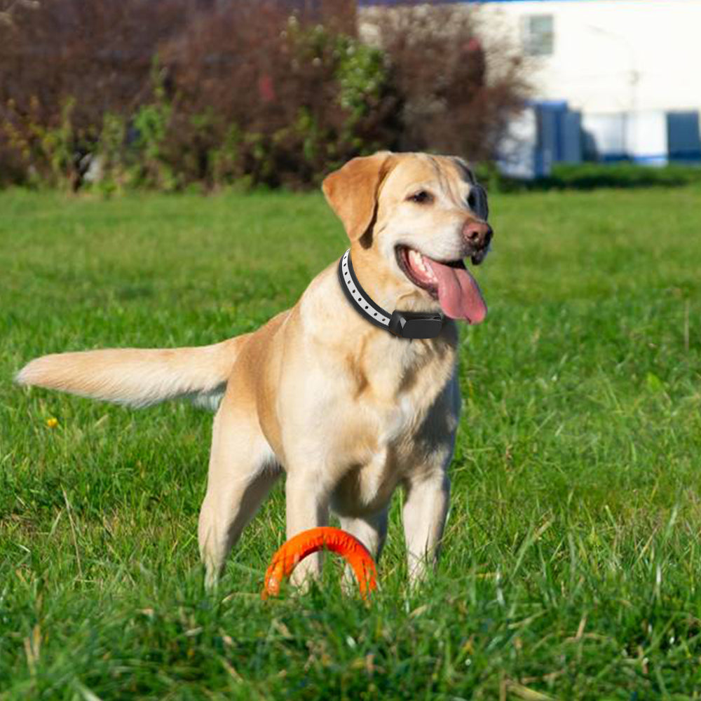 Drahtloses Hundezaunsystem TZ 862 — Sicherheit durch Begrenzung