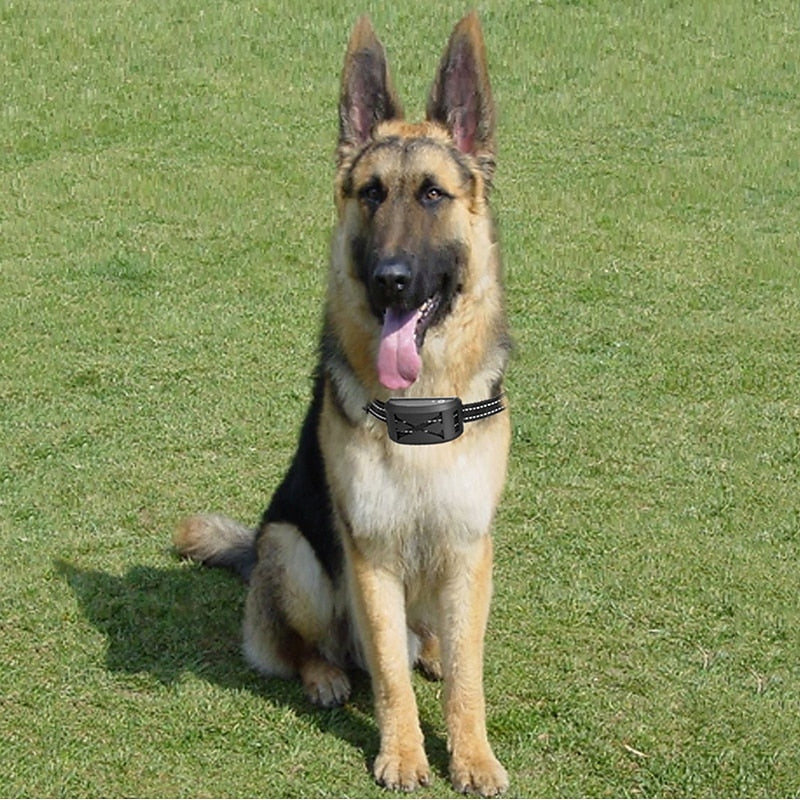 Wireless Dog Fence System — Adjustable Collar, 9–240m Range