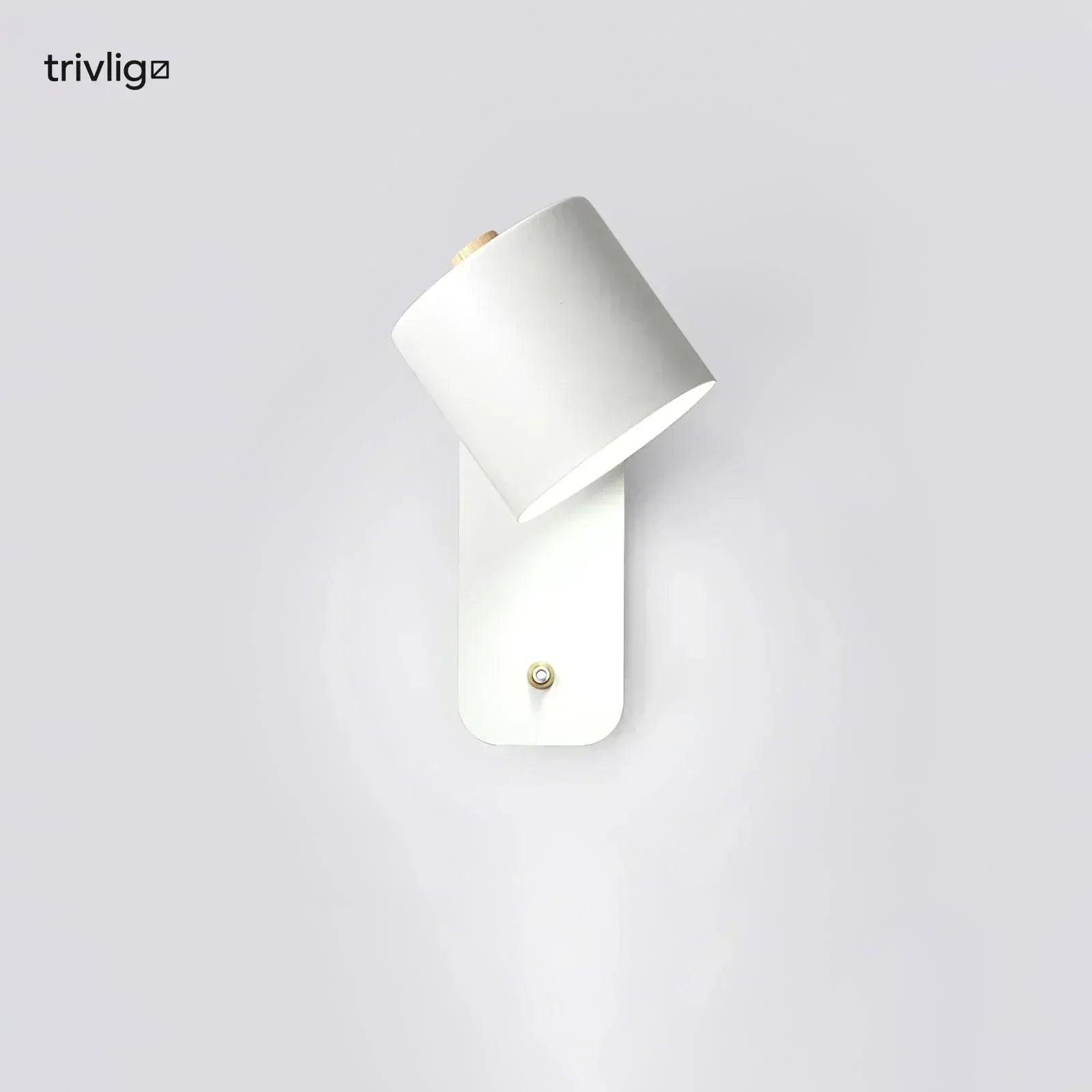 AstraLume Cylindrical Bedside Wall Lamp That Plugs In No Wiring Needed