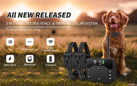 Collier de dressage pour chien avec clôture sans fil KairoGuard — Récepteur étanche 2,4G