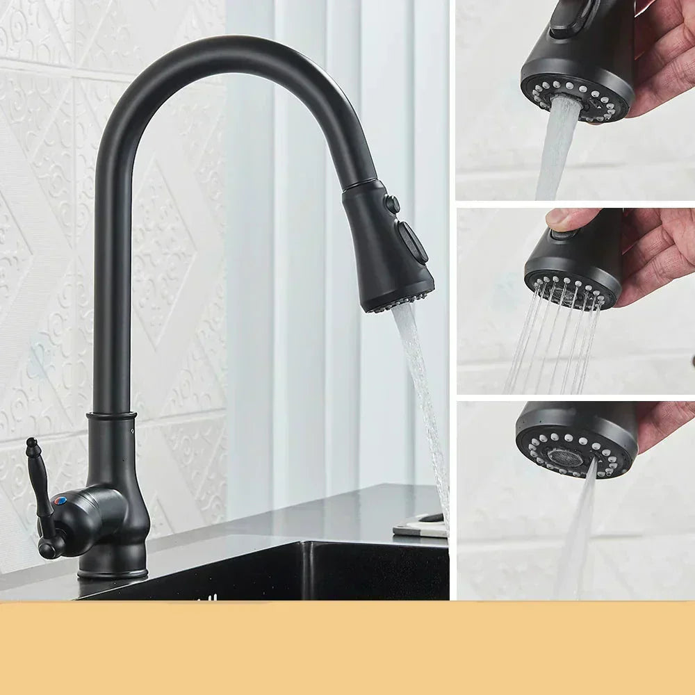AstraNova Swivel Spout Faucet — Antique Brass Finish, Black Accent