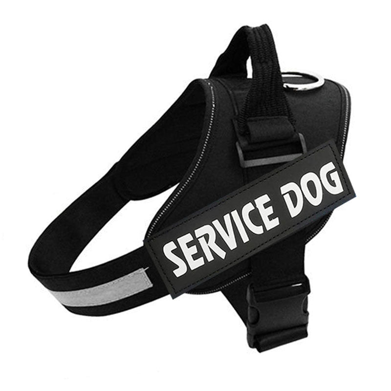 Postroj pro psy PawGuard Pro — nastavitelný systém vodítka a opora hrudníku