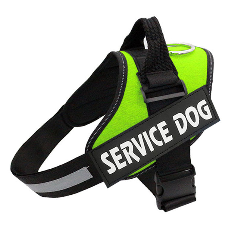 Postroj pro psy PawGuard Pro — nastavitelný systém vodítka a opora hrudníku