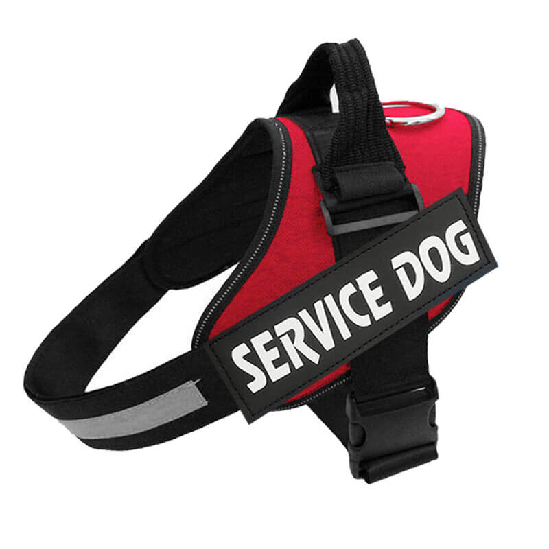 Postroj pro psy PawGuard Pro — nastavitelný systém vodítka a opora hrudníku