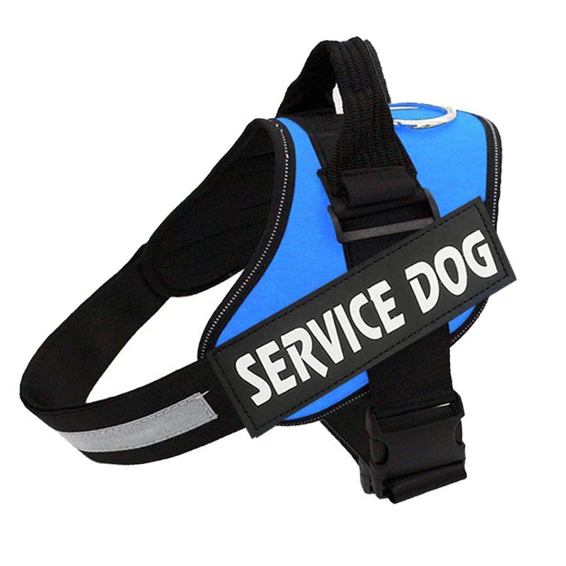 Postroj pro psy PawGuard Pro — nastavitelný systém vodítka a opora hrudníku