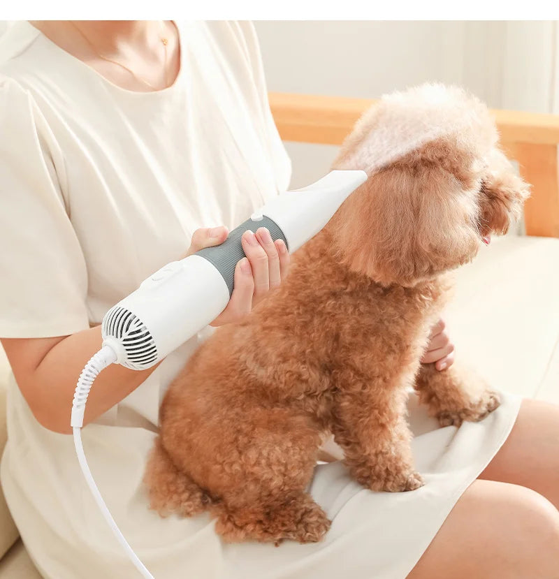 3-in-1犬用ドライヤー＆グルーミングブラシ | Filindra