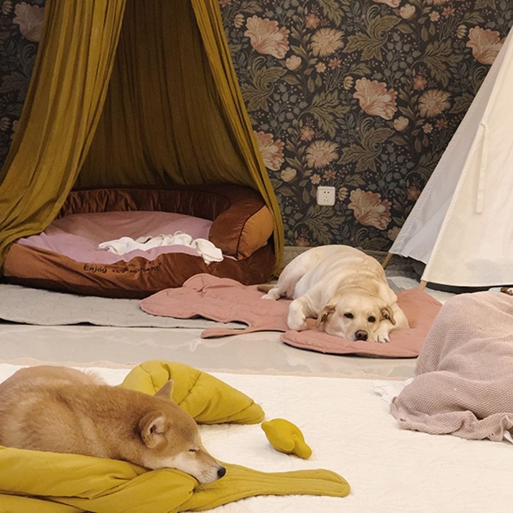 Alfombrilla refrescante con forma de hoja para perros — Diseño transpirable y lavable