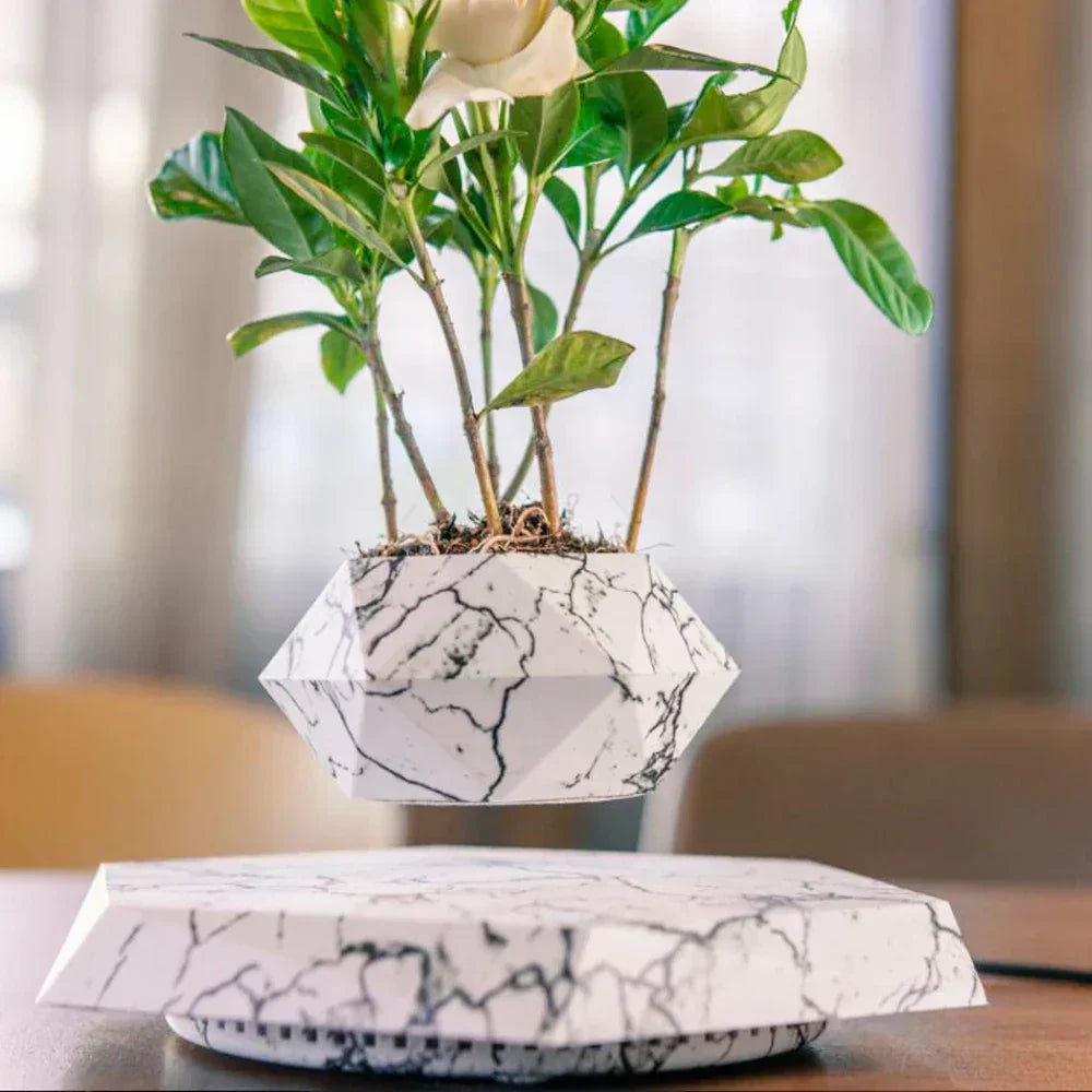 Lewitująca doniczka bonsai — magnetyczna, obracająca się o 360° donica