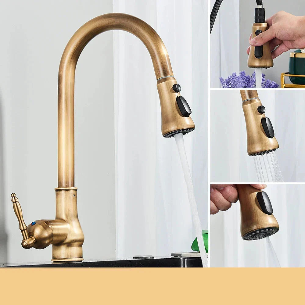 AstraNova Swivel Spout Faucet — Antique Brass Finish, Black Accent