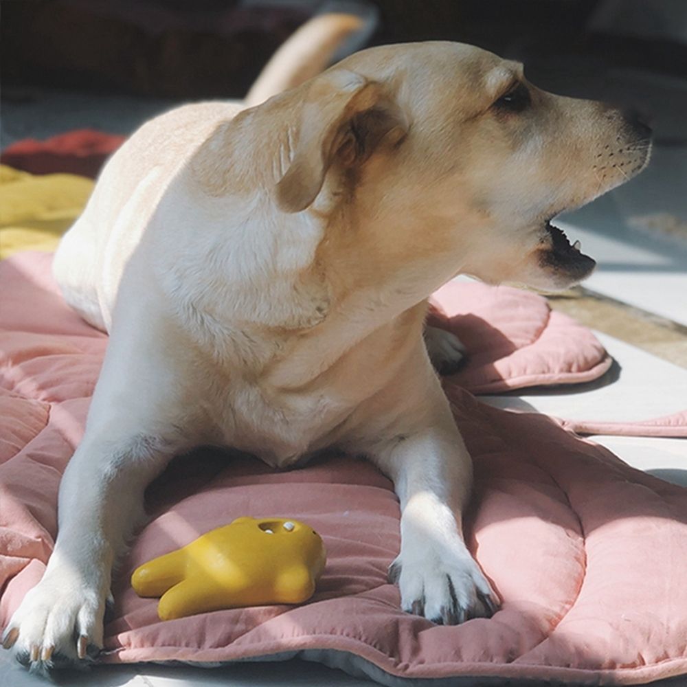 Alfombrilla refrescante con forma de hoja para perros — Diseño transpirable y lavable