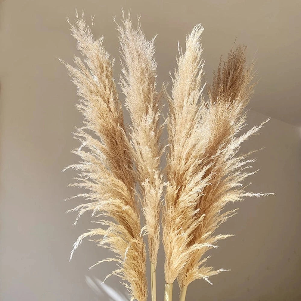 Μπουκέτο αποξηραμένου χόρτου πάμπας 80 cm — Αφράτο boho διακοσμητικό για το κέντρο του τραπεζιού