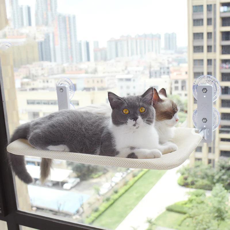 Rede confortável para gatos — cama-prateleira para banhos de sol a 360°