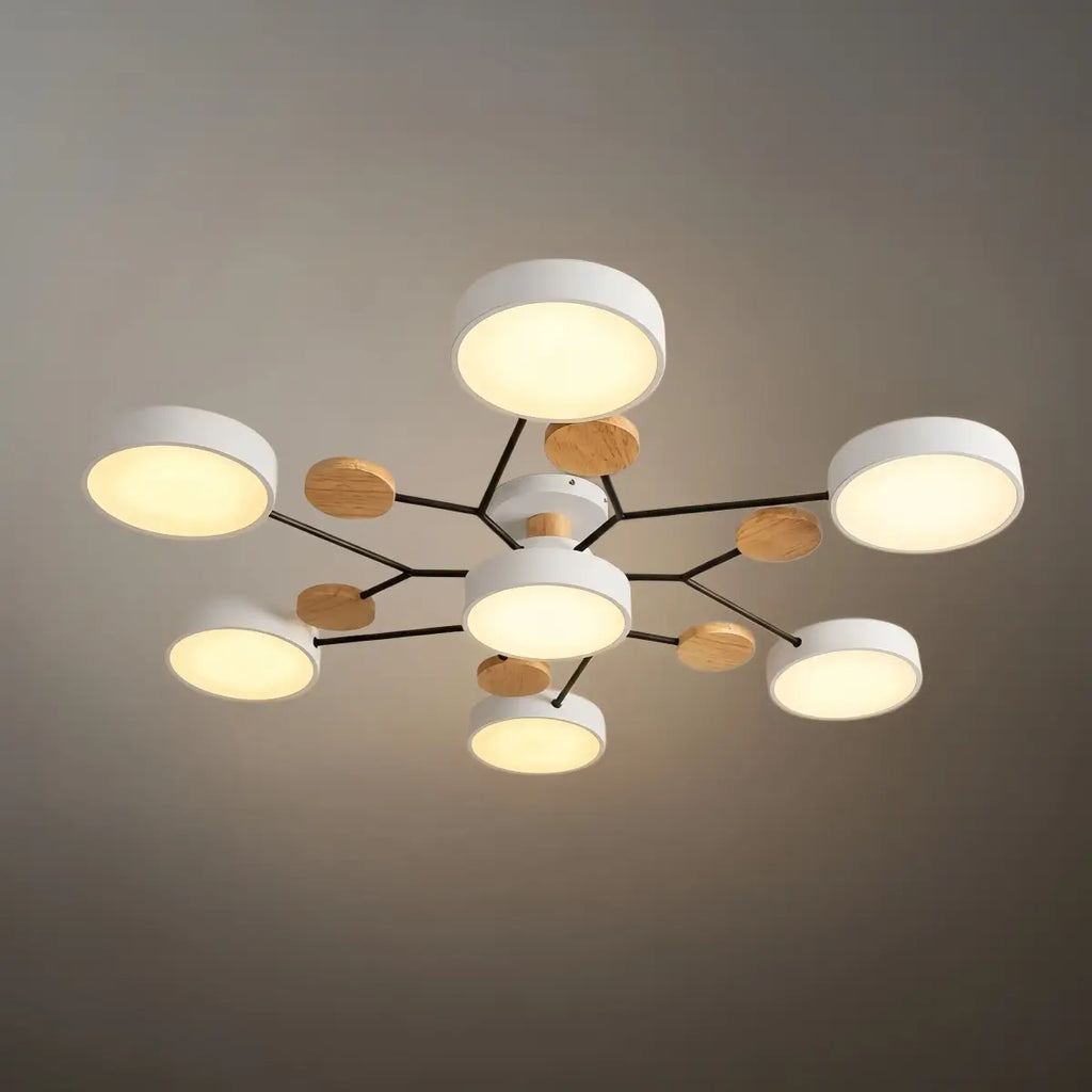 Modern Round Metal Ceiling Light - Multi-Head in Gray/Green/White for Living Room - Flindria