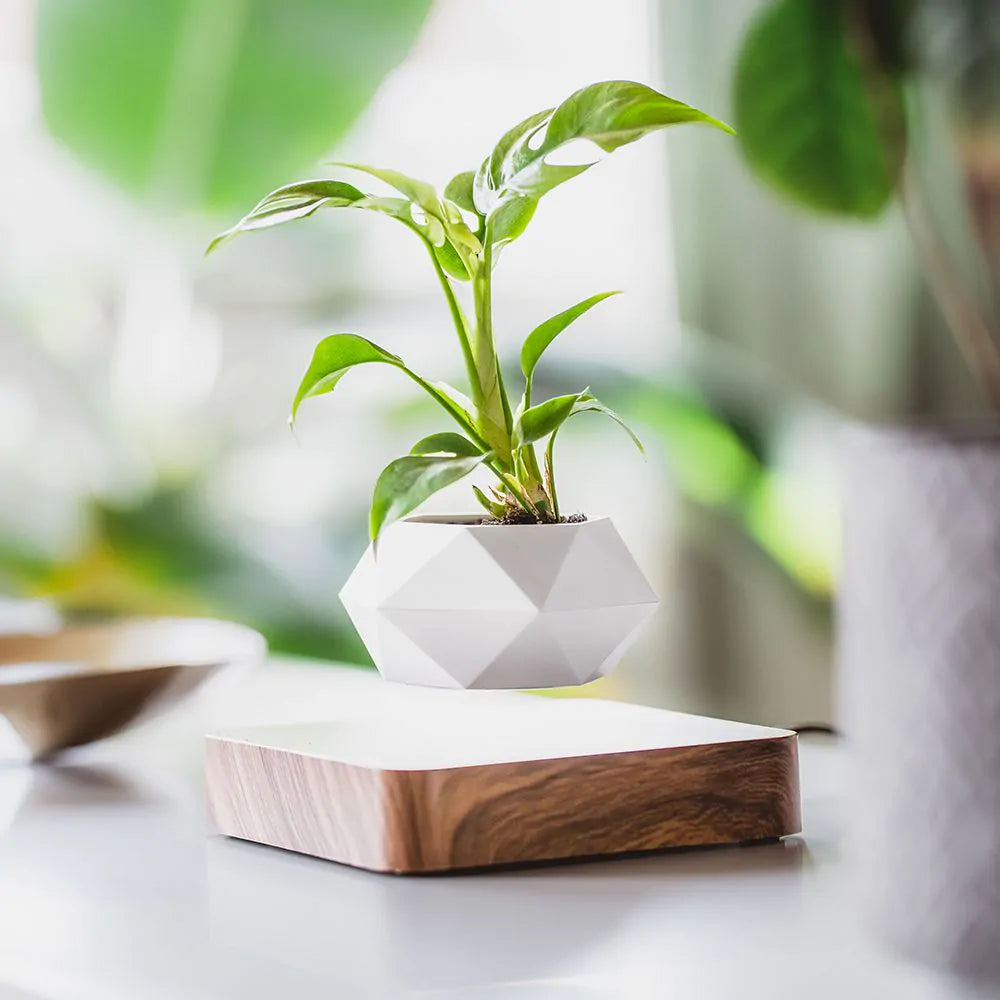 Η γλάστρα LeviPlantPot — Αιωρούμενη γλάστρα με μαγνητική αιώρηση