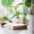 Η γλάστρα LeviPlantPot — Αιωρούμενη γλάστρα με μαγνητική αιώρηση