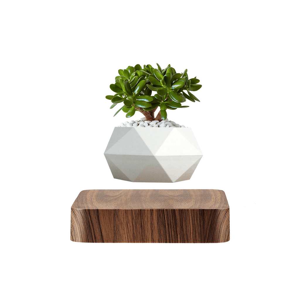 Lewitująca doniczka bonsai — magnetyczna, obracająca się o 360° donica