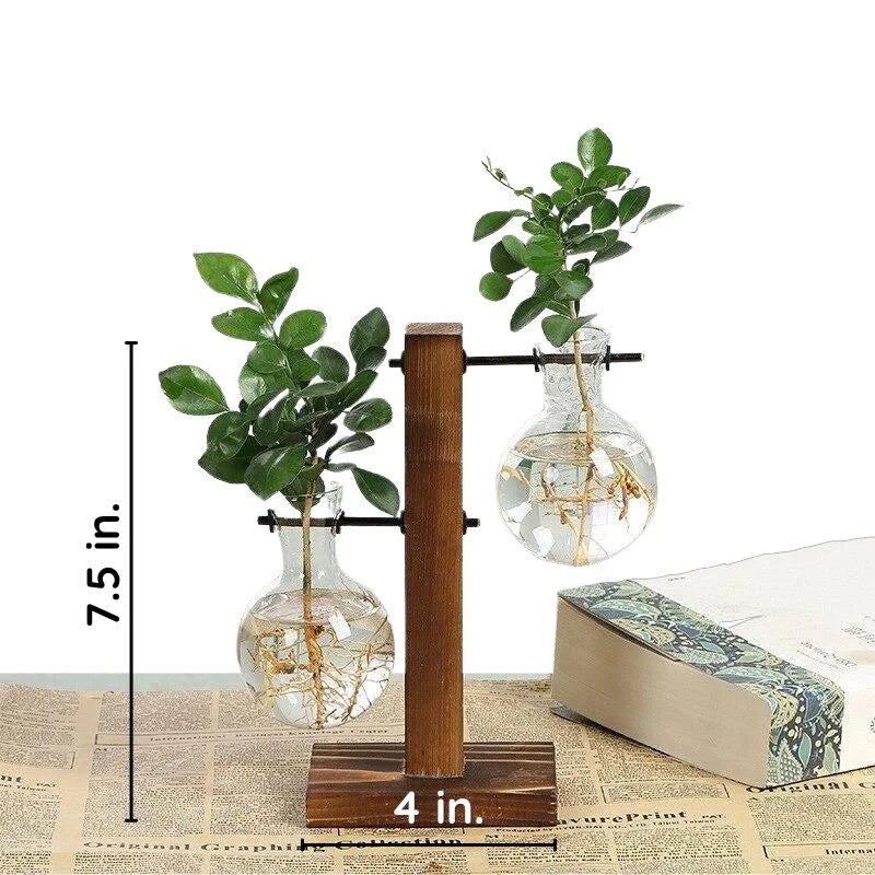 Wooden Frame Hydroponic Plant Vase | Filindra