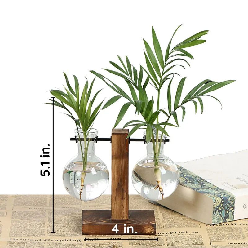 Wooden Frame Hydroponic Plant Vase | Filindra
