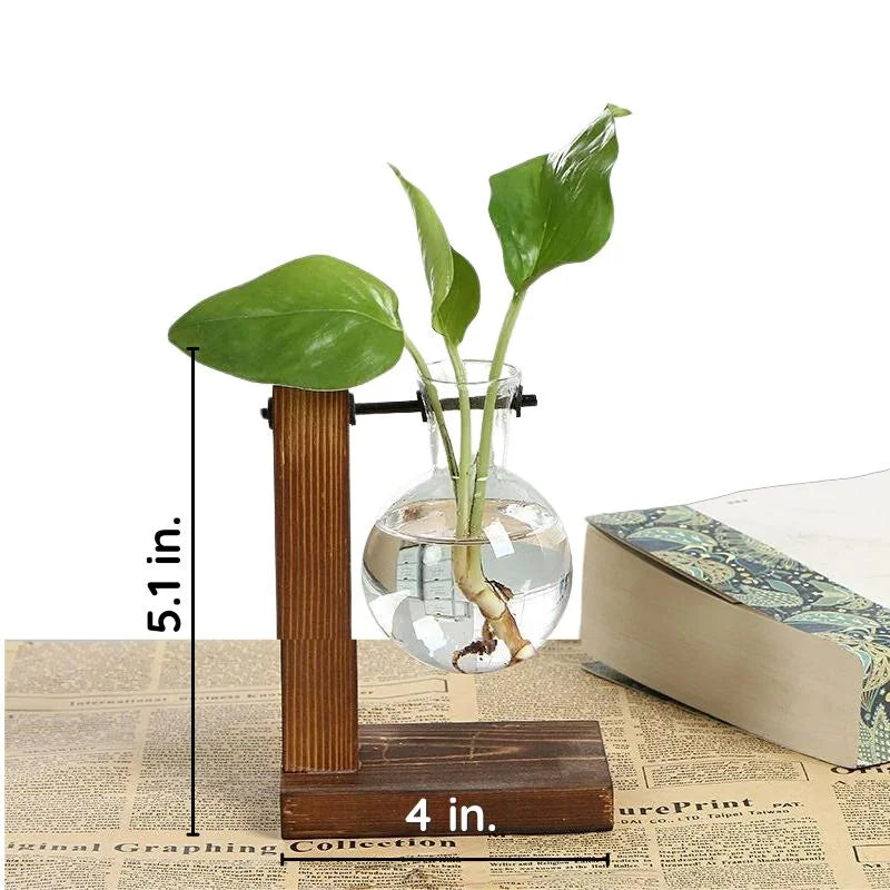 Wooden Frame Hydroponic Plant Vase | Filindra