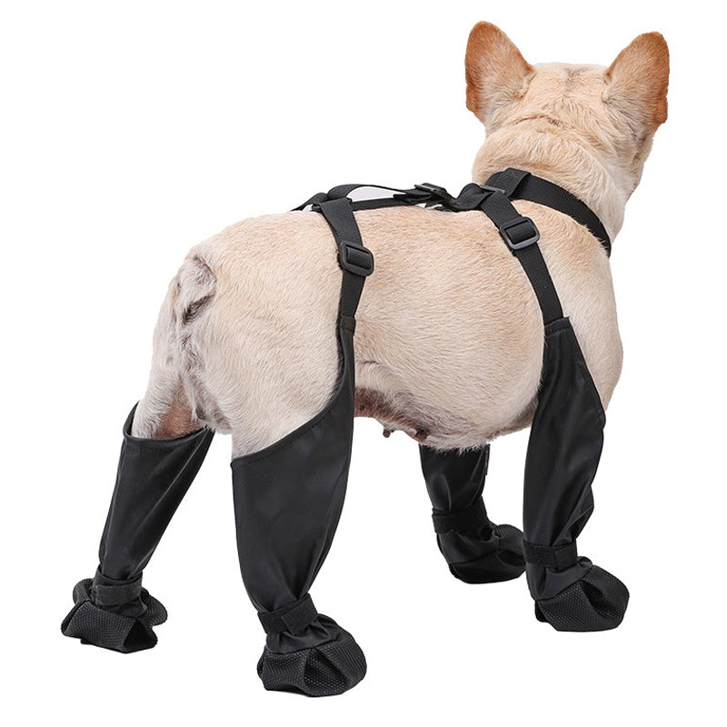 Botas ajustáveis para cães | Filindra