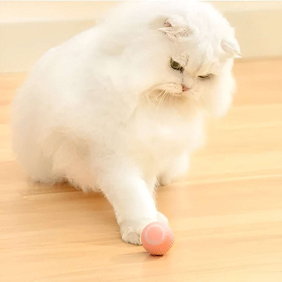 2 in 1 Simulated Interactive Hunting Cat Toy | Filindra