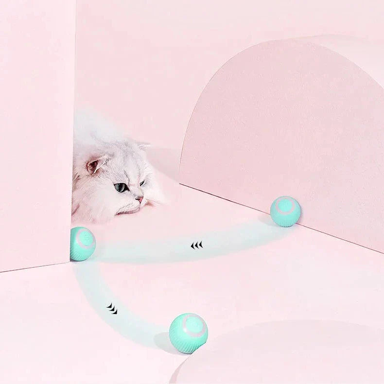 2 in 1 Simulated Interactive Hunting Cat Toy | Filindra