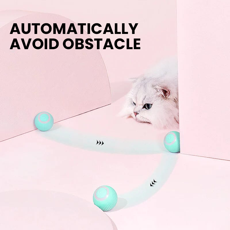 2 in 1 Simulated Interactive Hunting Cat Toy | Filindra