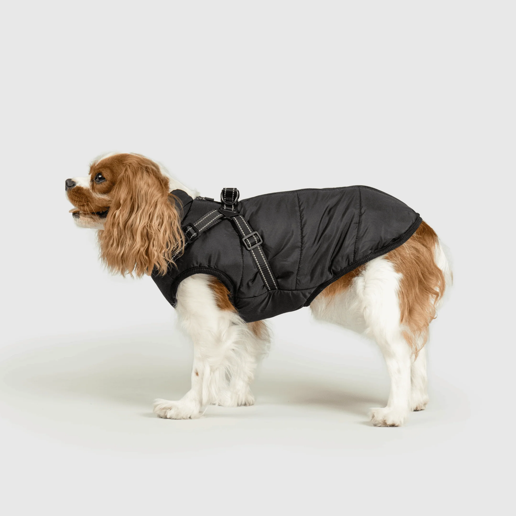 3 in 1 冬用犬用ジャケット — 寒い季節に暖かいコート