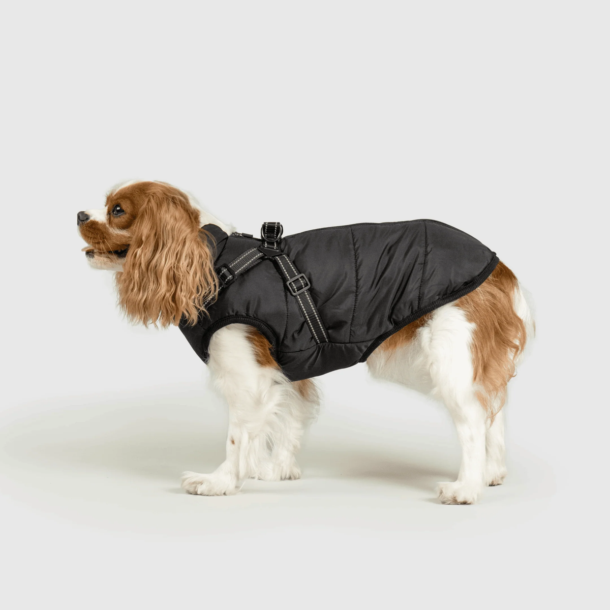 3 in 1 冬用犬用ジャケット — 寒い季節に暖かいコート