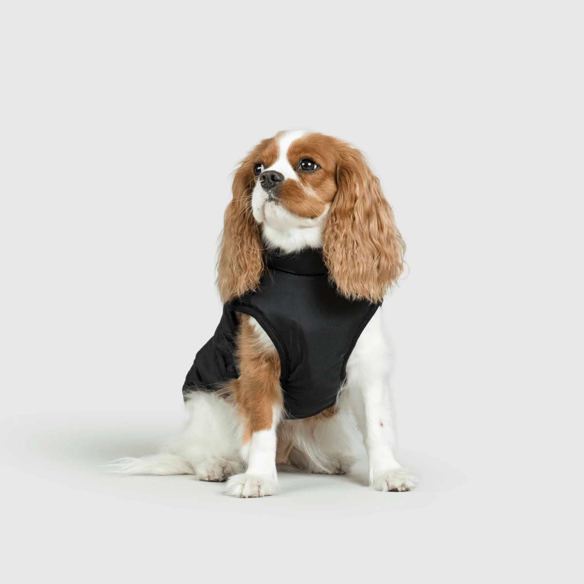 3 in 1 冬用犬用ジャケット — 寒い季節に暖かいコート