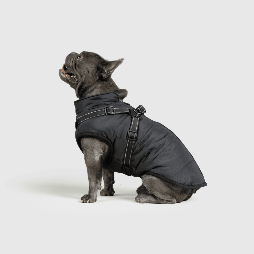 3 in 1 冬用犬用ジャケット — 寒い季節に暖かいコート