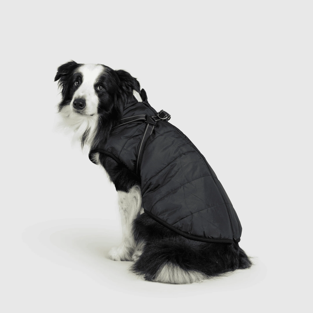 3 in 1 冬用犬用ジャケット — 寒い季節に暖かいコート