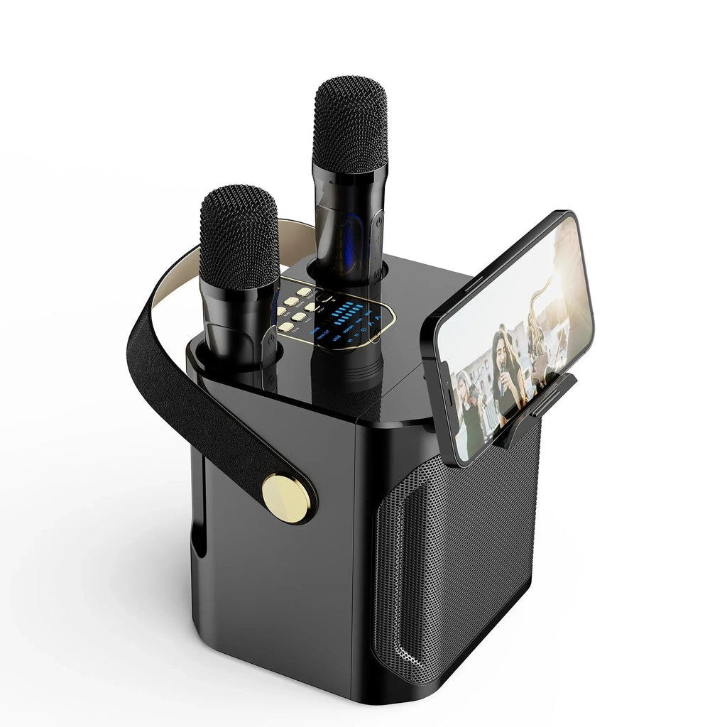 Enceinte karaoké Bluetooth portable rechargeable — Son riche