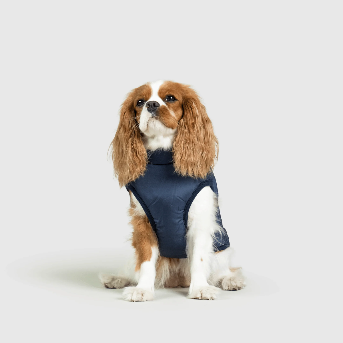 3 in 1 冬用犬用ジャケット — 寒い季節に暖かいコート