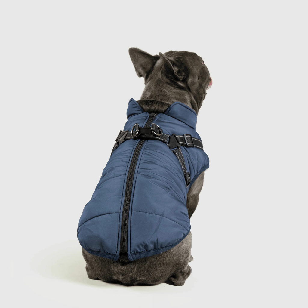 3 in 1 冬用犬用ジャケット — 寒い季節に暖かいコート