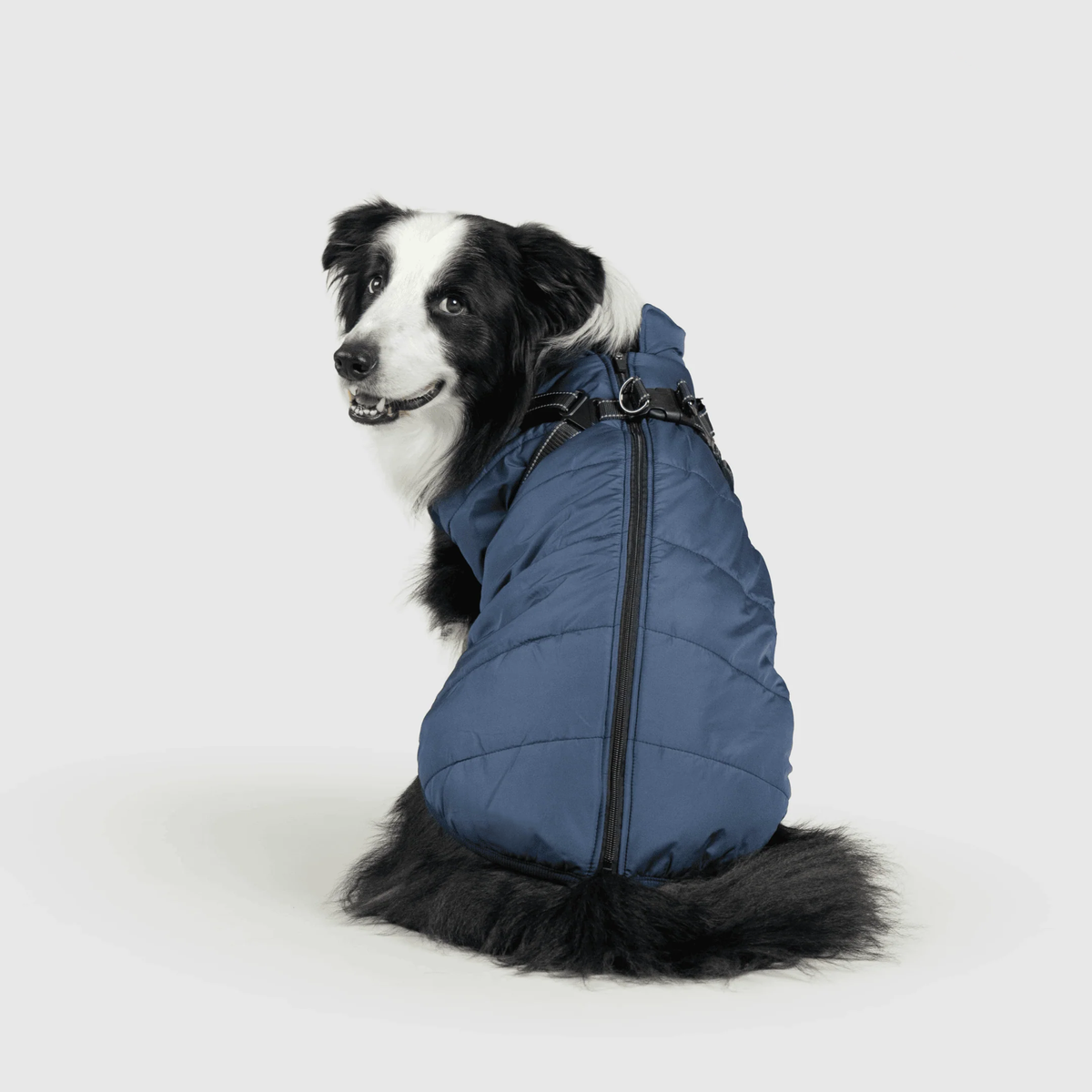 3 in 1 冬用犬用ジャケット — 寒い季節に暖かいコート