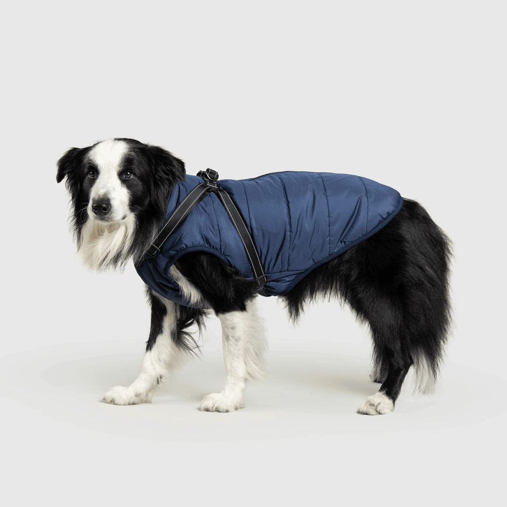 3 in 1 冬用犬用ジャケット — 寒い季節に暖かいコート