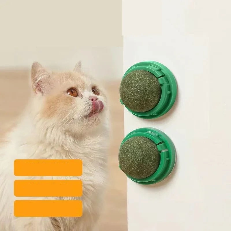 4 Pcs Premium Catnip Ball | Filindra