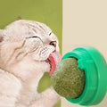4 Pcs Premium Catnip Ball | Filindra